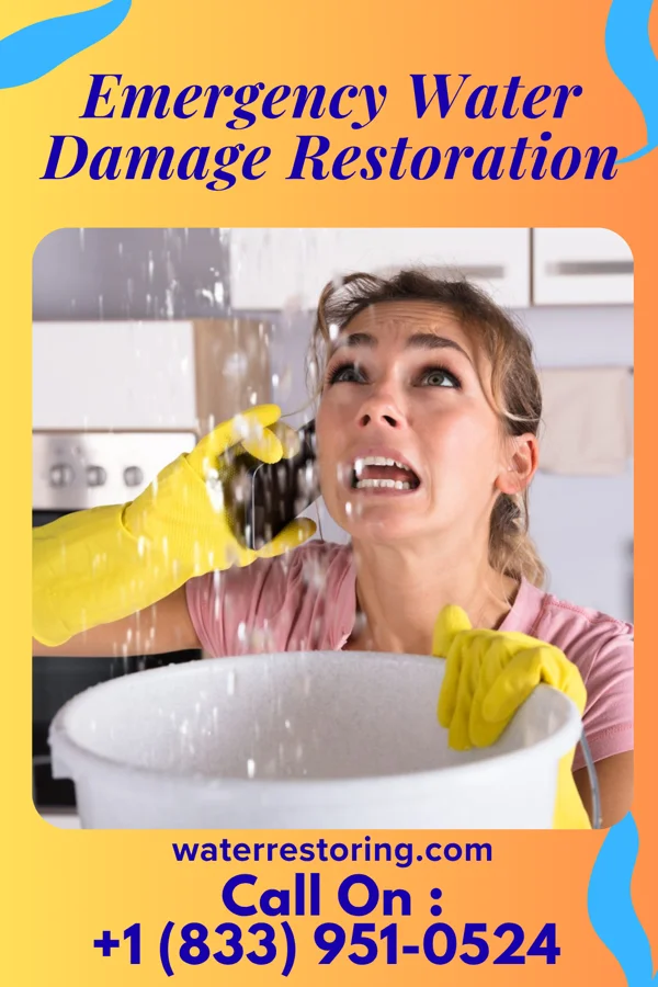 Emergency Water Damage Restoration in Lewisville, NC