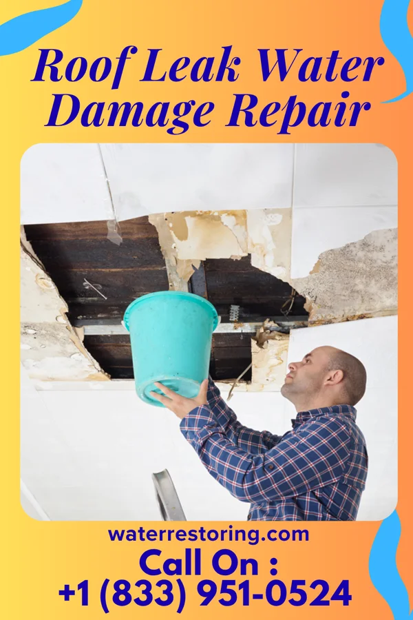 Roof Leak Water Damage Repair in Lewisville, NC