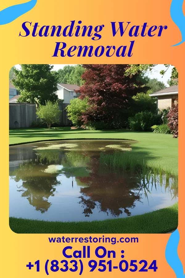 Standing Water Removal in Lewisville, NC